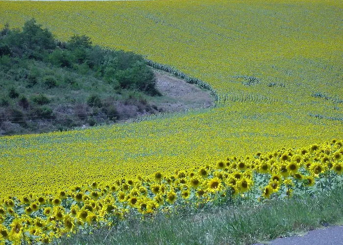 Bed and breakfast Val De Costes Saint-Maurin